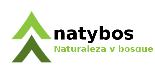 Natybos logo